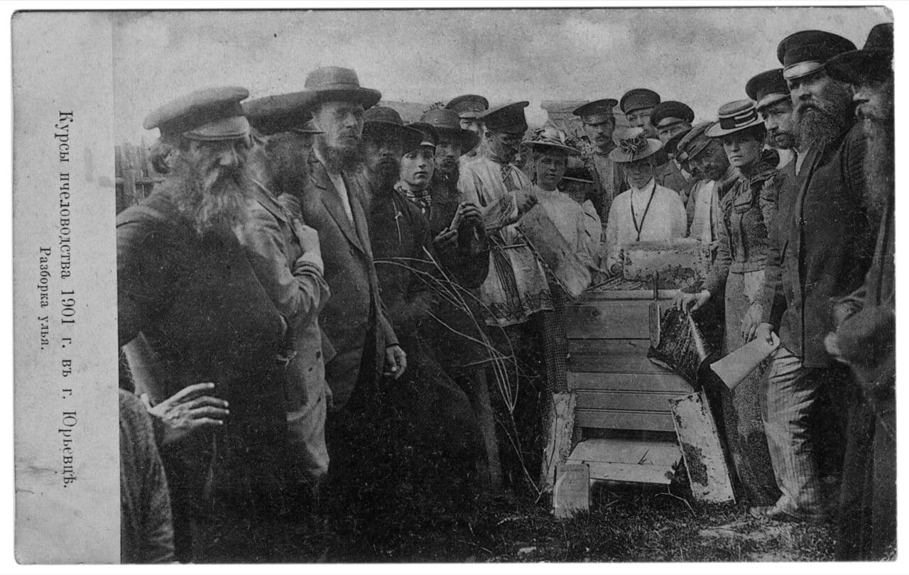 Курсы пчеловодства 1901 г. в г. Юрьевце. Разборка улья