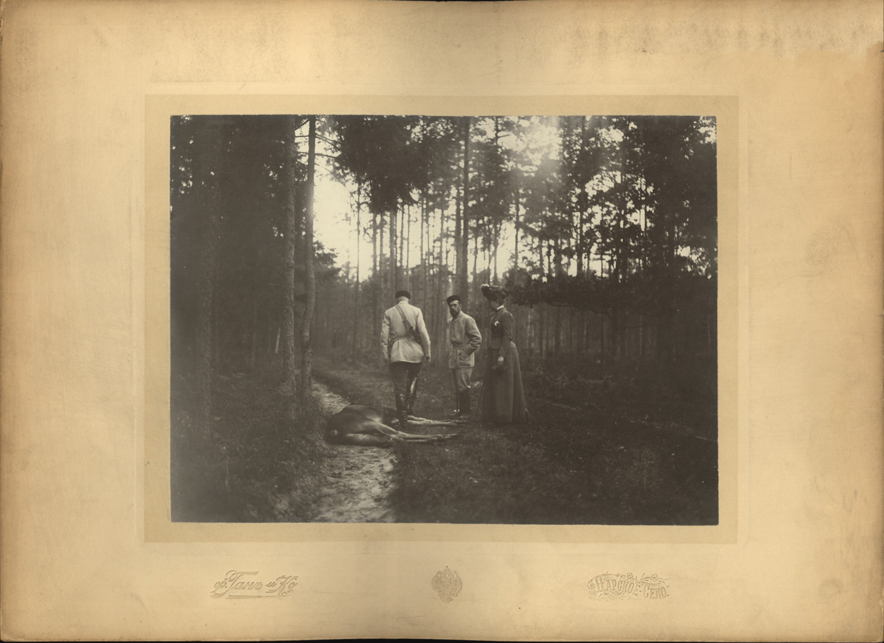 Николай II на охоте у убитого лося. [1900-е.