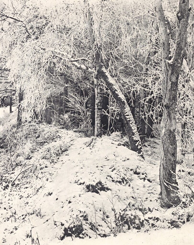 Зимний пейзаж 1891