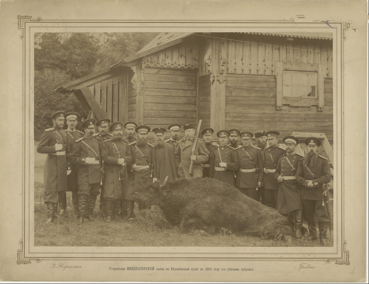 Устроители императорской охоты в Беловежской пуще в 1894 году (с убитым зубром)