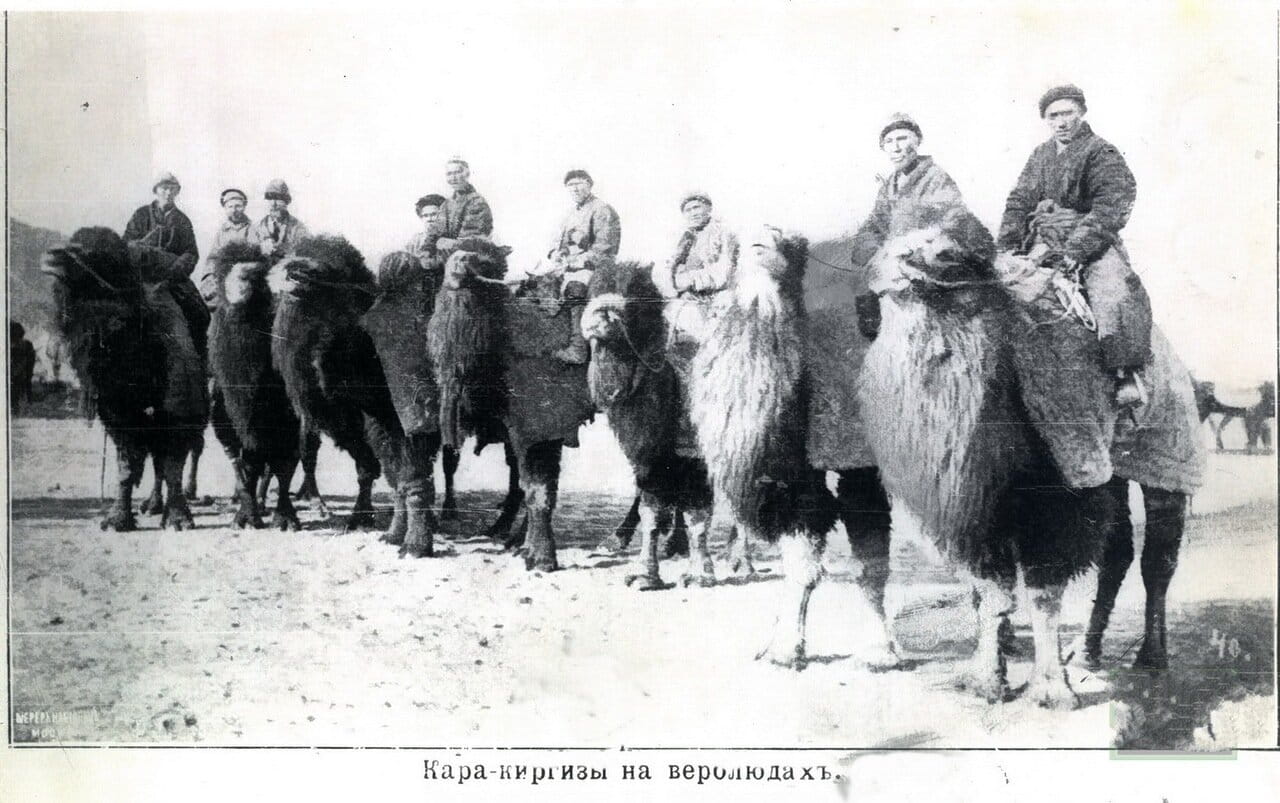 Всадники на верблюдах. 1910 год