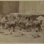 Производство хлопка в Средней Азии 1872 г.